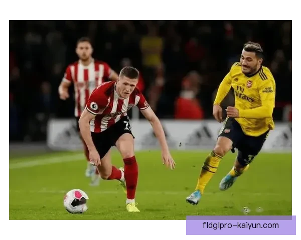 赫尔城老虎军团近期表现稳健，竞争力持续提升